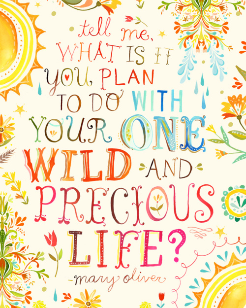 what is it you plan to do with your one wild and precious life, mary oliver quote, finding my life purpose, what is my purpose, what is the purpose of life, cute quotes, life quotes, mary oliver quotes, true meaning of life, do what you love, reaching true happiness