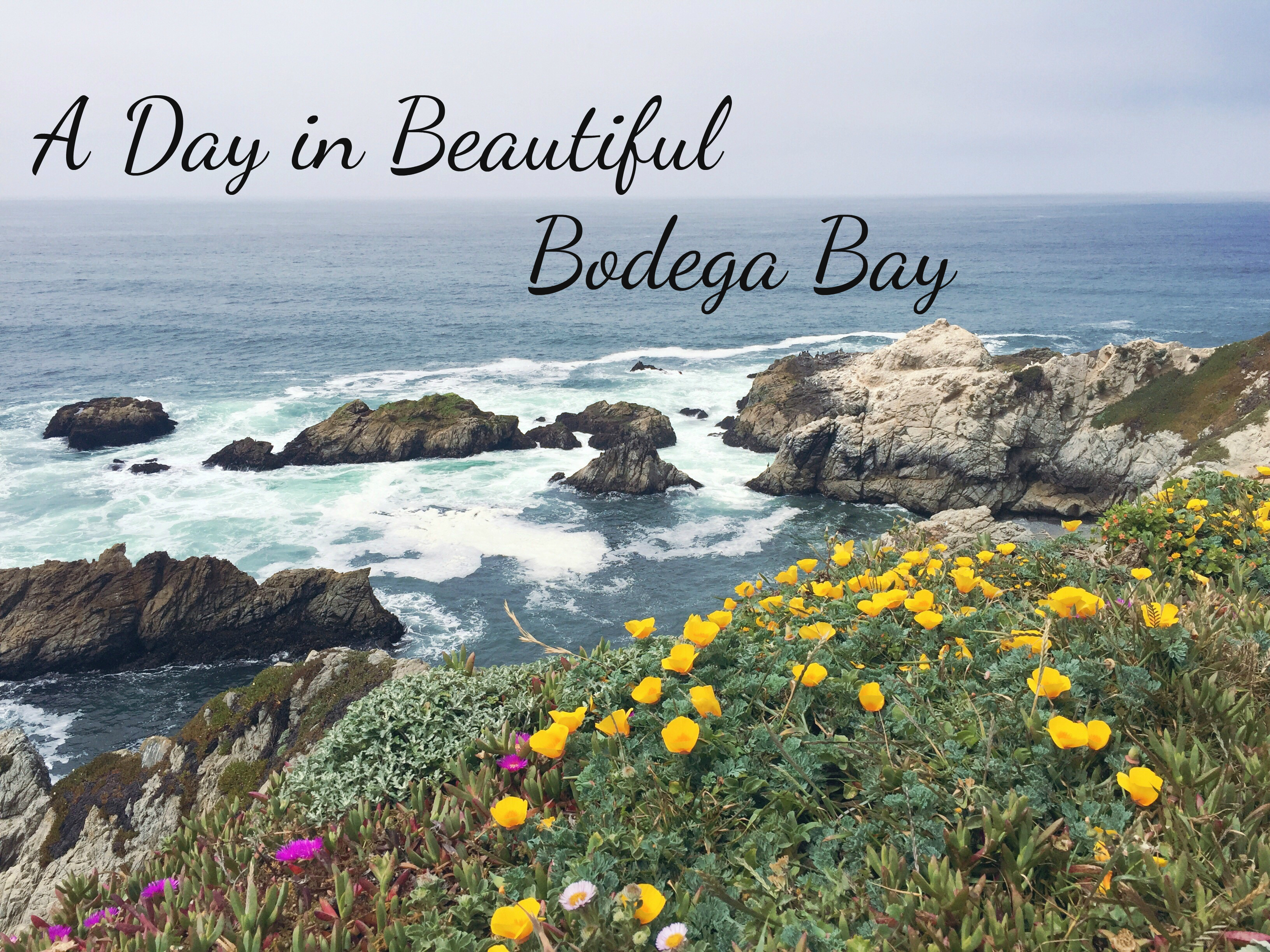 bodega bay pics, california coast pics