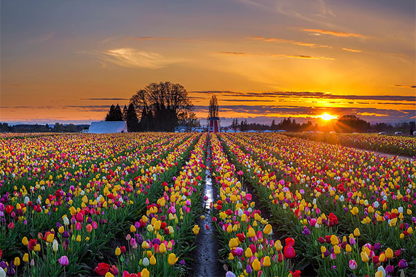 best Spring vacation destinations, Prettiest places to see in Spring