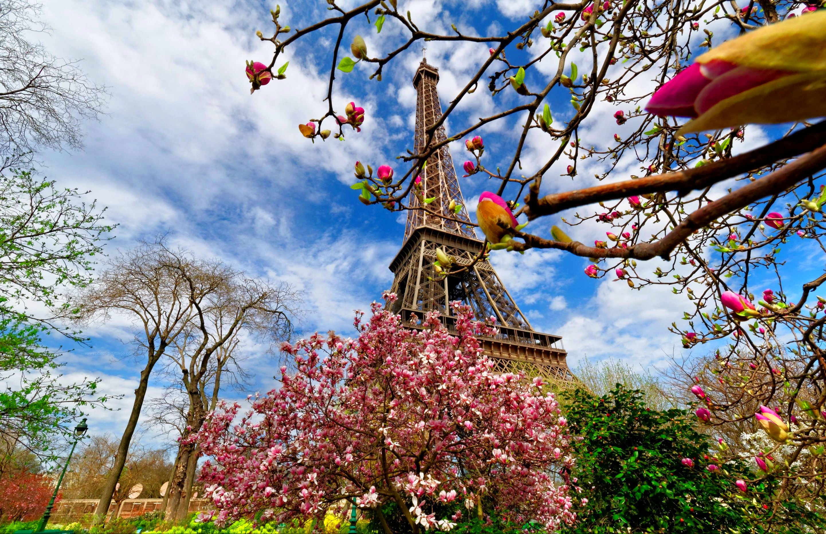 Spring vacation ideas, where to travel in Spring